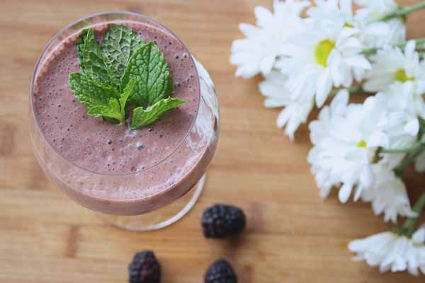 Blueberry Smoothie