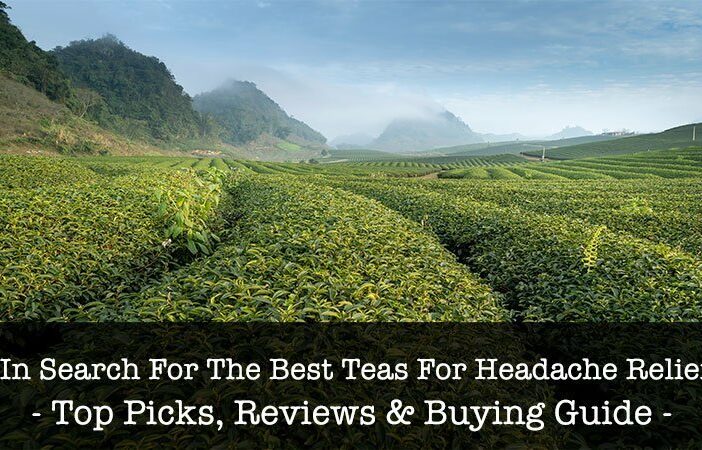 Best Teas For Headache