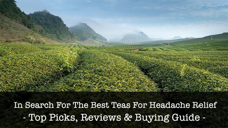 Best Teas for Headache Relief 2025 - Top 10 Recommended