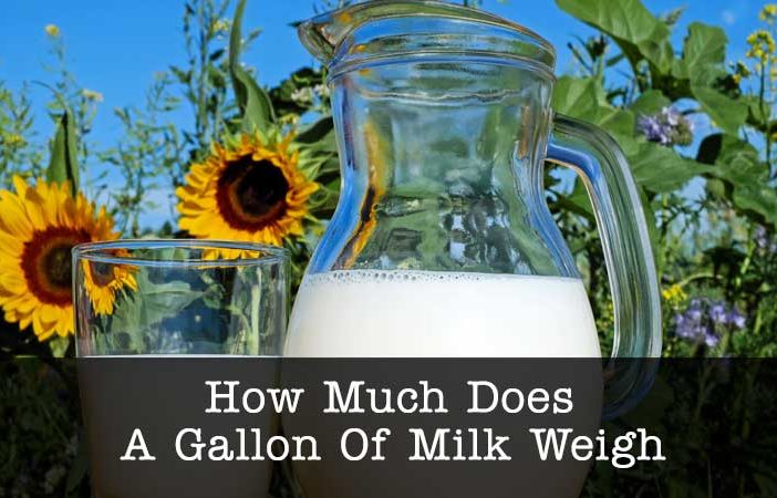 gallon of milk weigh