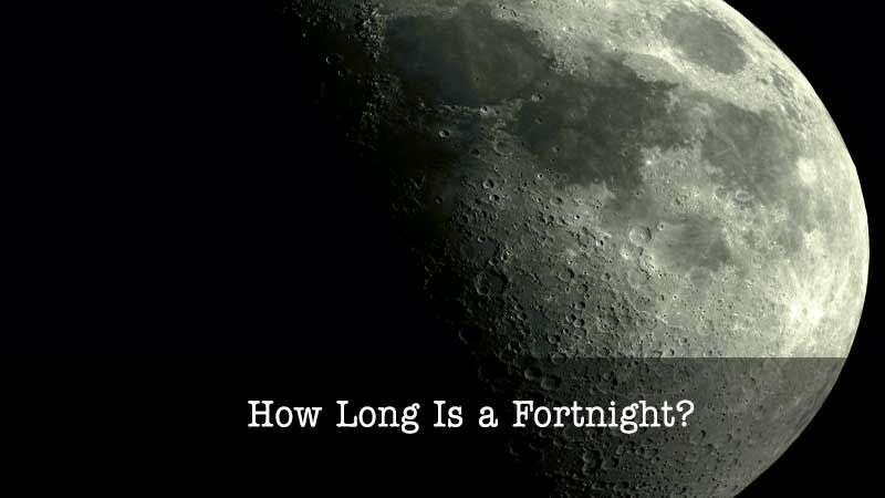 how long is a fortnight