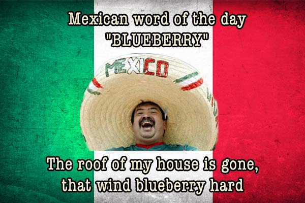 mexican word of the day blueberry