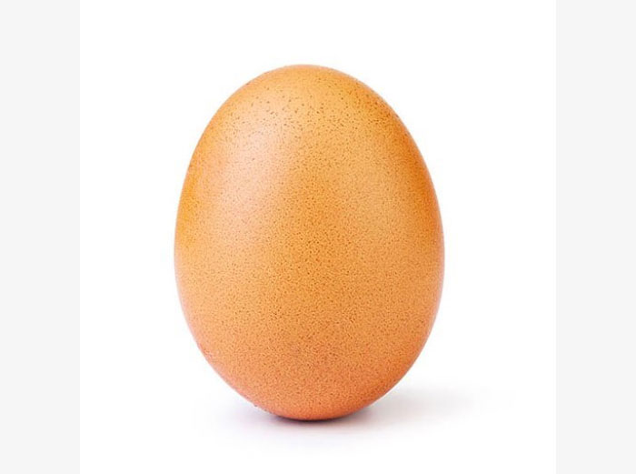 World Record Egg